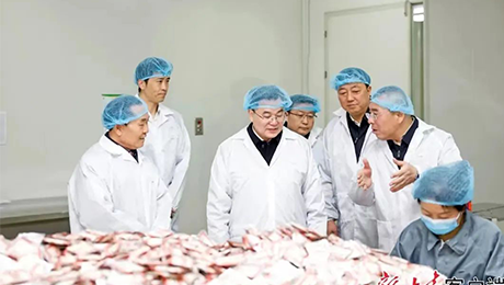 甘肃省委书记胡昌升莅临英国正版365健康集团佛仁制药考察调研