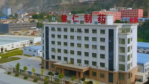 甘肃省副省长葛建团莅临英国正版365（002219）旗下佛仁制药考察调研